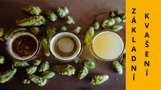 Svrchní a spodní kvašení piva